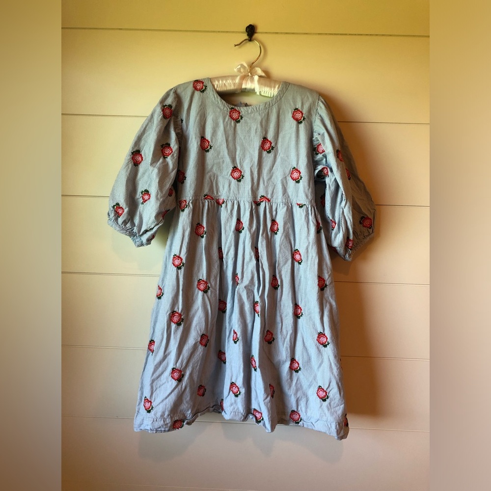Pink Chicken Dress Blue Embroidered Flowers Girls 12